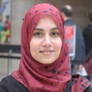 Alaa Adawy, Speaker at Chemistry Conferences
